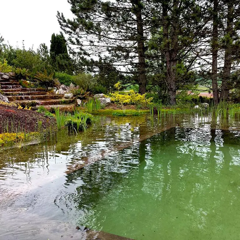 Baignade milieu naturelle purifie