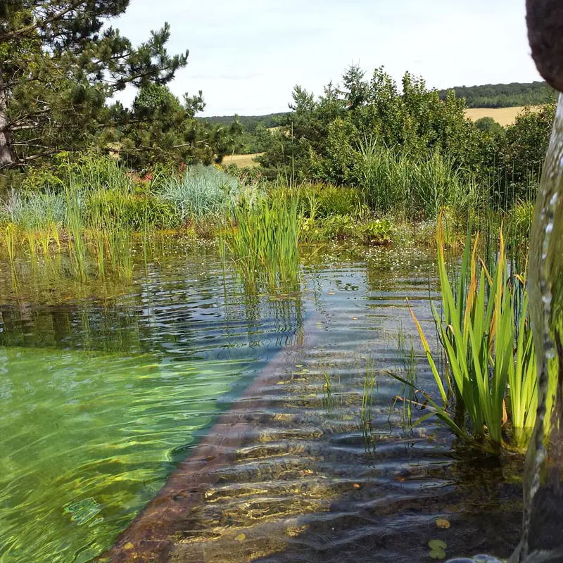 Baignade naturelle Bourgogne