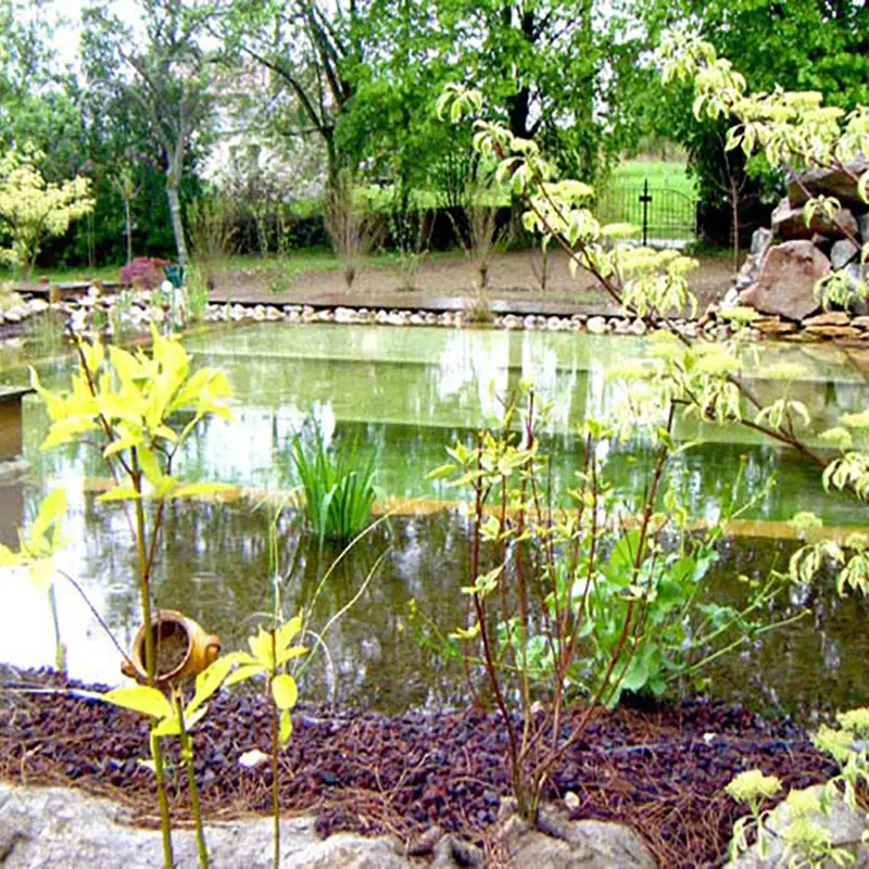 Baignade naturelle integree à l'environnement