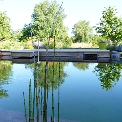 BAIGNADE NATURELLE CHAMPËTRE
