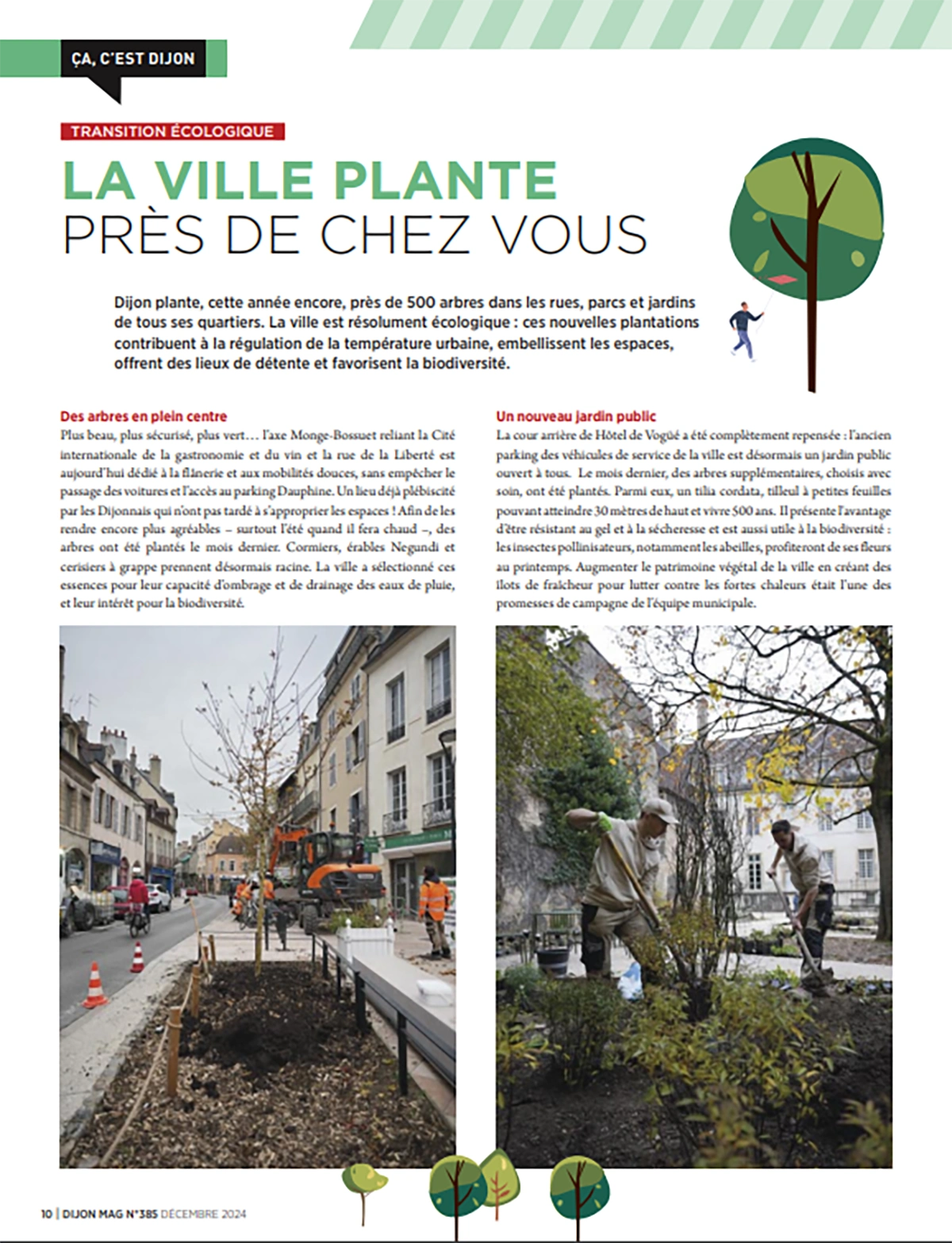 Dijon au vert