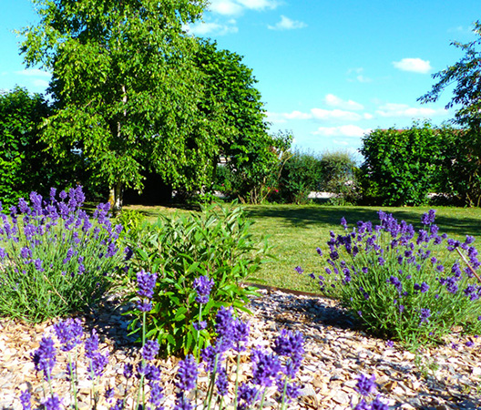 Jardin Hauteville-Lès-Dijon, photo 4