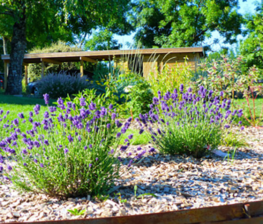 Jardin Hauteville-Lès-Dijon, photo 5