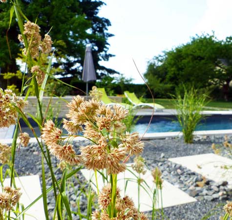 Aménagement de jardin autour de la piscine, photo 9
