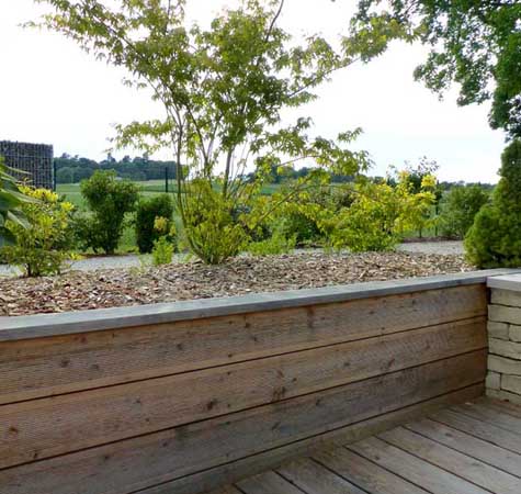 Aménagement de jardin autour de la piscine, photo 13