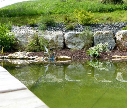 Jardin dans le Jura  3
