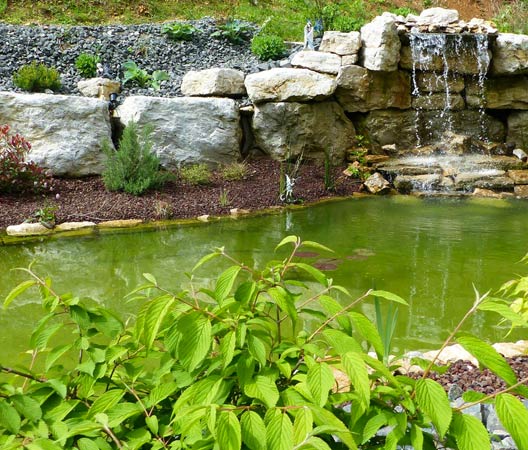 Jardin dans le Jura  5