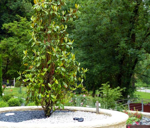 Jardin dans le Jura  15