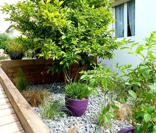 jardin avec terrasse en bois, photo 3