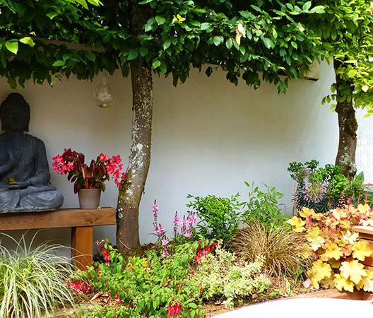 jardin avec terrasse en bois, photo 17