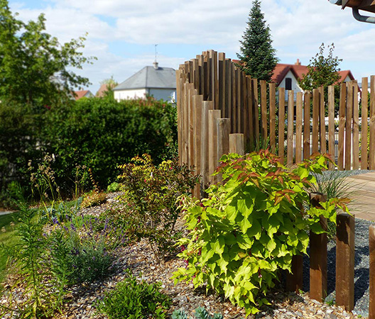Revalorisation d'un jardin à Dijon, août 2018, photo 9