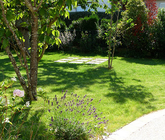 Revalorisation d'un jardin à Dijon, août 2018, photo 16
