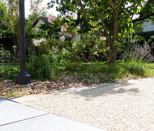 Revalorisation d'un jardin à Dijon, août 2018, photo 17