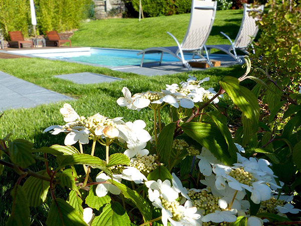 Jardin avec piscine, photo 11