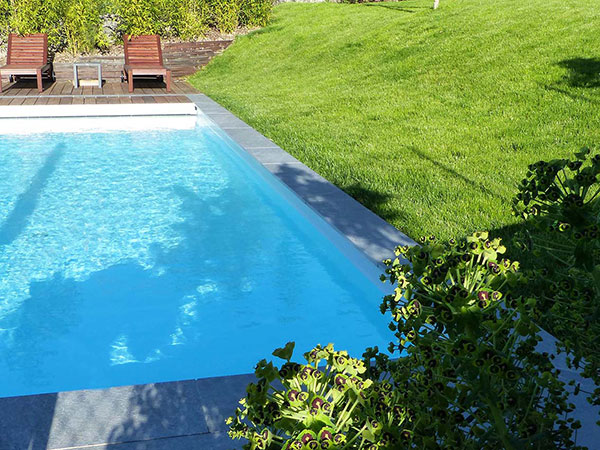 Jardin avec piscine, photo 17