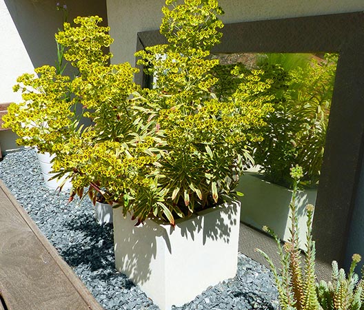 Terrasse jardin 21