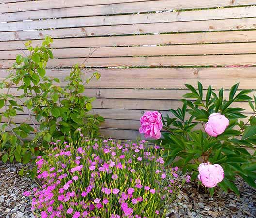 un jardin sur les hauteurs de Dijon 3