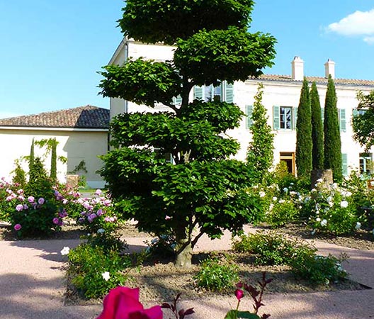 Paysagiste dans un château Beaujolais 7