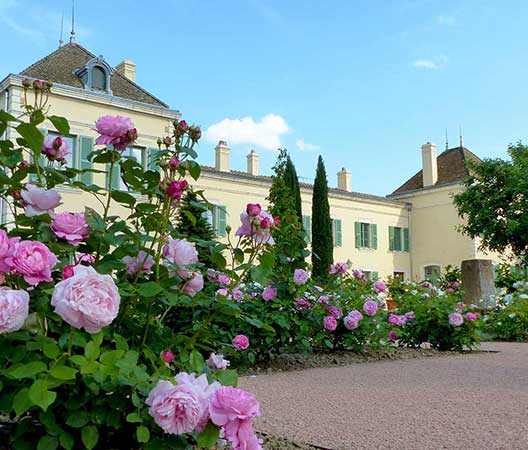 Paysagiste dans un château Beaujolais 8