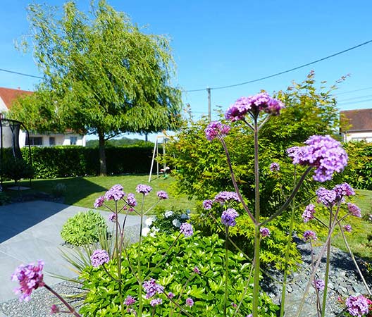 aménagement des extérieurs d’un jardin modern 13