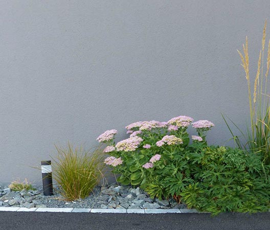 jardin et piscine contemporaine 19
