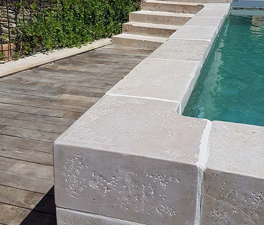 cour jardin avec picine