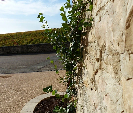 Jardin Bourguignon 1