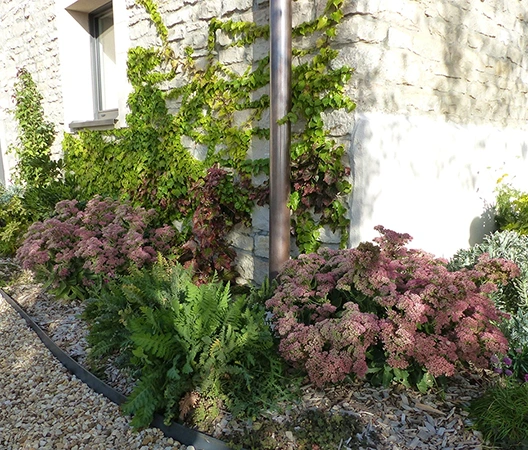 Jardin Bourguignon 1