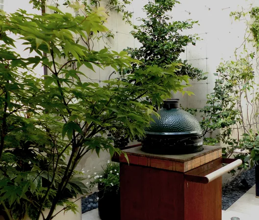 Jardin Urbain 13