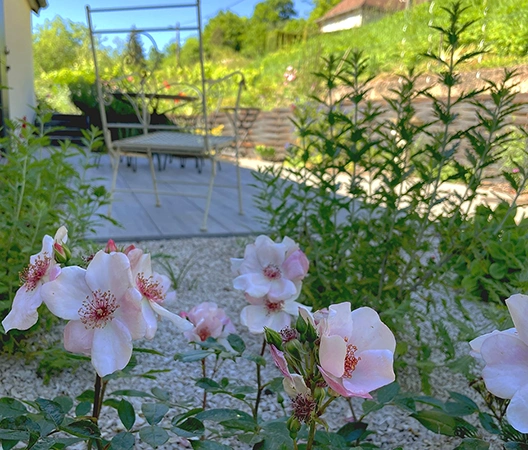harmonie de blanc et de rose 14