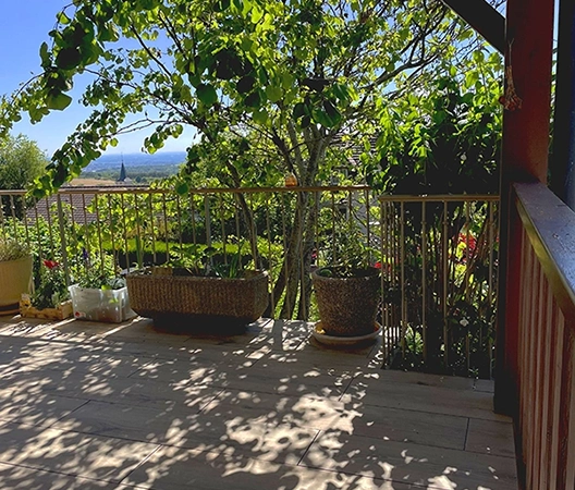 terrasse grès cérame imitation bois clair 28
