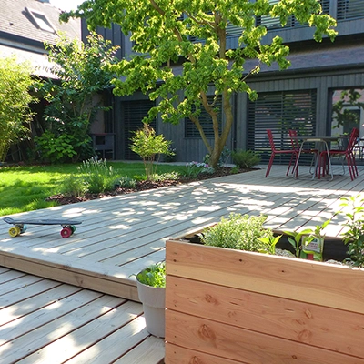 Jardin verdoyant