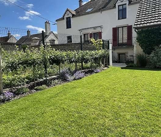 gazon et arbres palissés