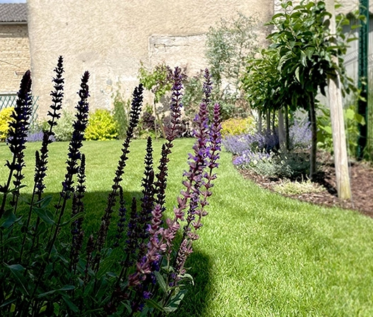 jardin calme à Dijon