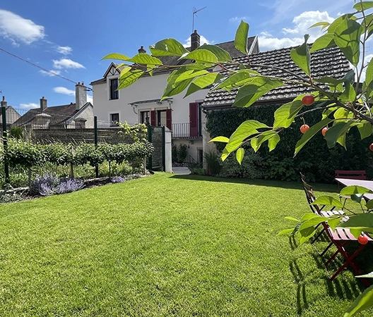 jardin de repos et arbuste fruitier