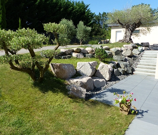 Enrochement et plantation d'oliviers