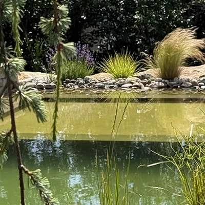 La baignade naturelle