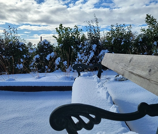 Banc coin terrain de petanque hiver