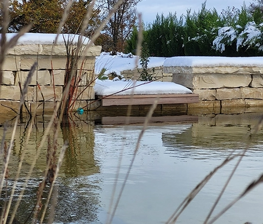 Zoom sur une baignade naturelle hiver