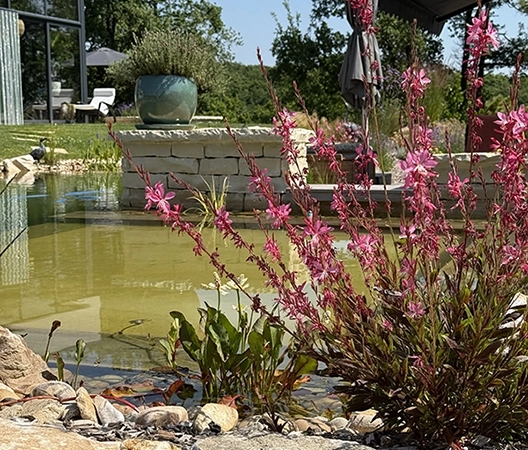 Zoom sur une baignade naturelle